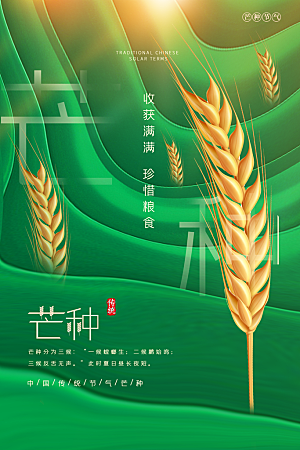 芒种节气简约大气海报