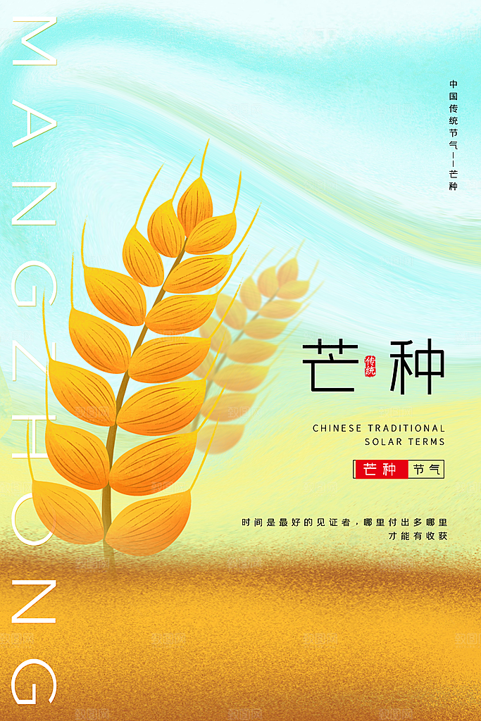芒种节气简约大气海报