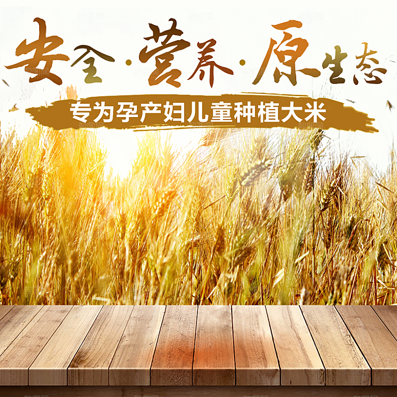 电商淘宝店铺食品通用主图直通车模板