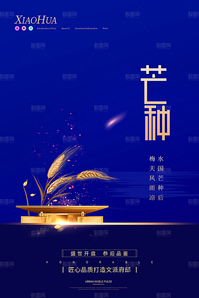 芒种节气简约大气海报