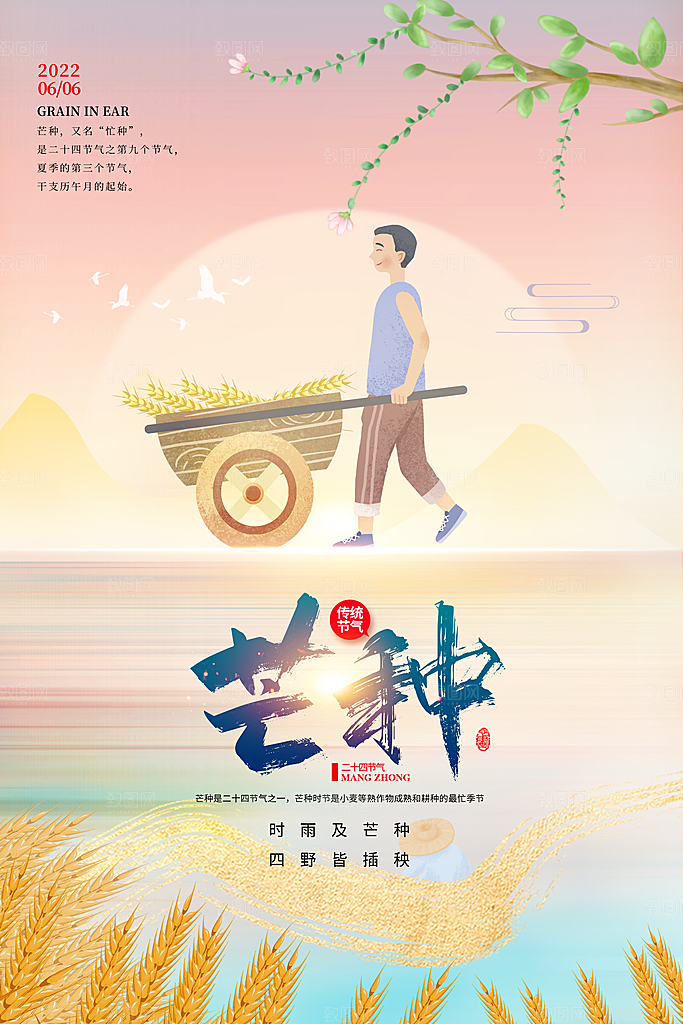 芒种节气简约大气海报