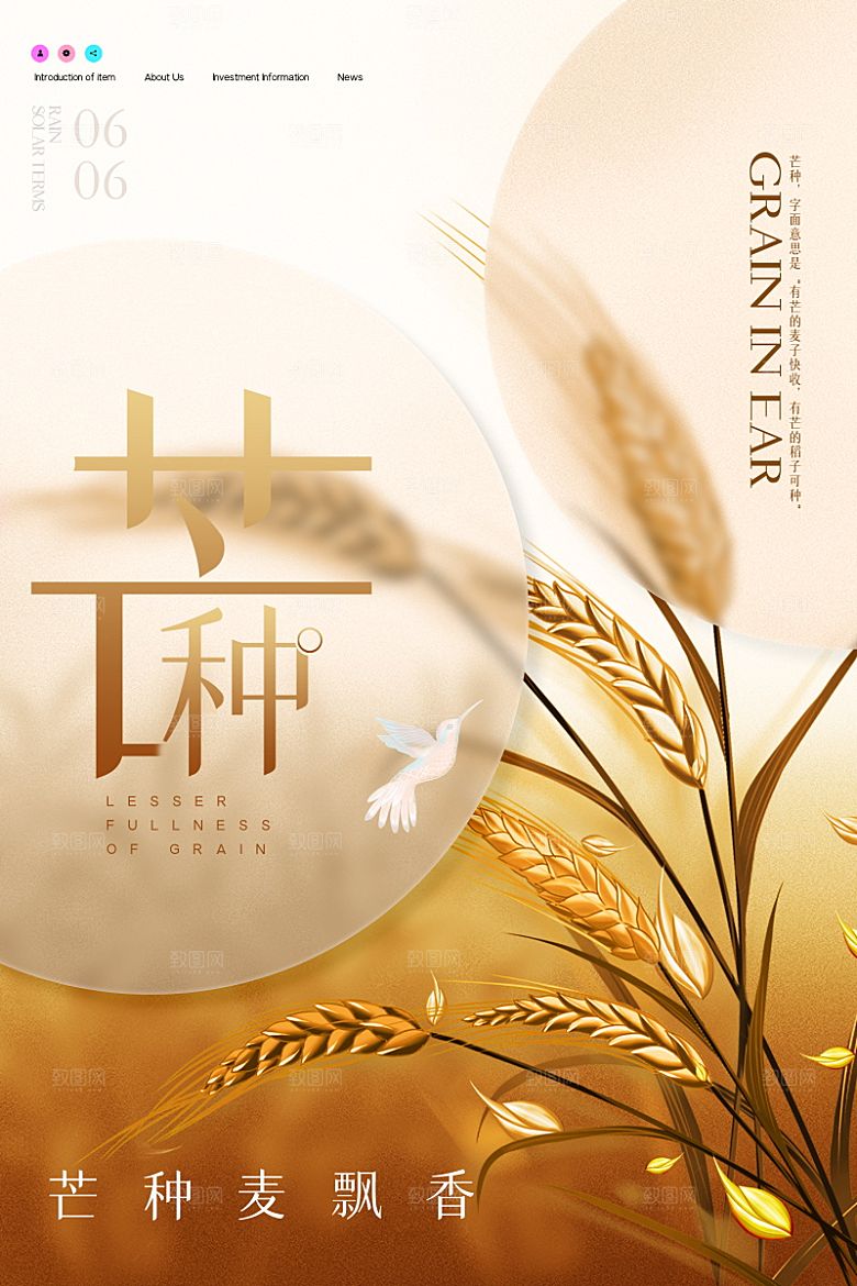 芒种节气简约大气海报