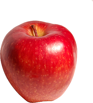 苹果水果元素素材