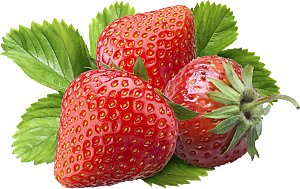 草莓水果素材设计元素