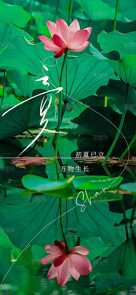 中国传统24节气立夏手机海报