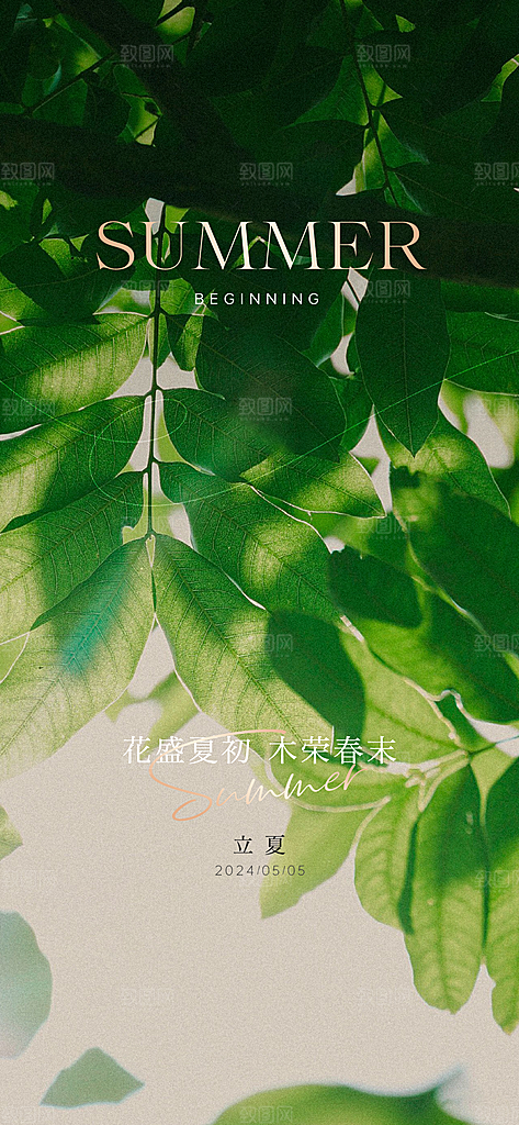 中国传统24节气立夏手机海报