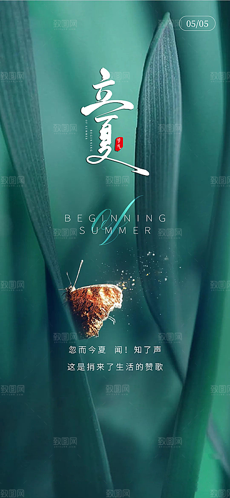 中国传统节气立夏手机海报