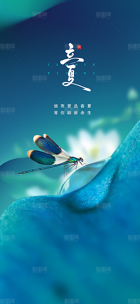 中国传统节气立夏手机海报