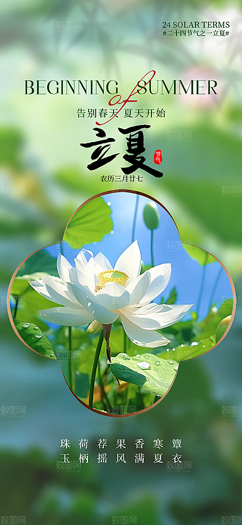 中国传统24节气立夏手机海报