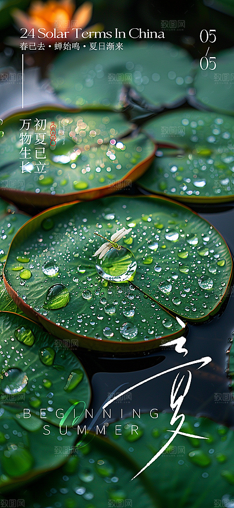 中国传统24节气立夏手机海报