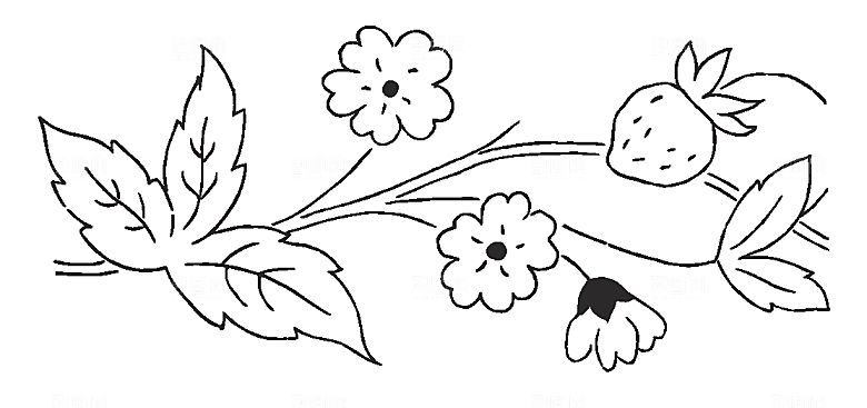 矢量花朵花卉鲜花素材