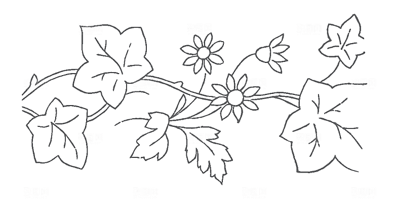 矢量花朵花卉鲜花素材