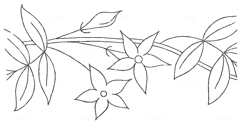 矢量花朵花卉鲜花素材