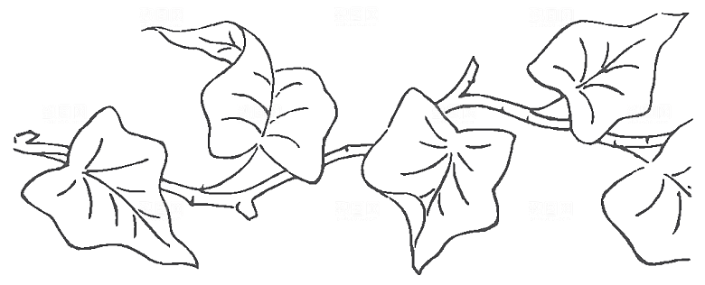 简约手绘鲜花花朵png素材