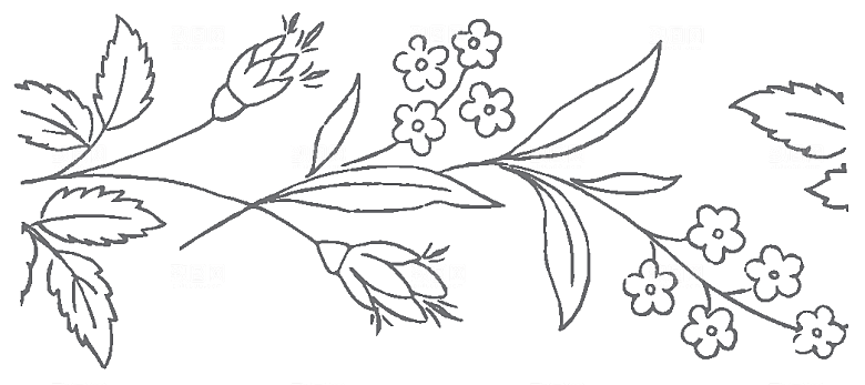 简约手绘鲜花花朵png素材