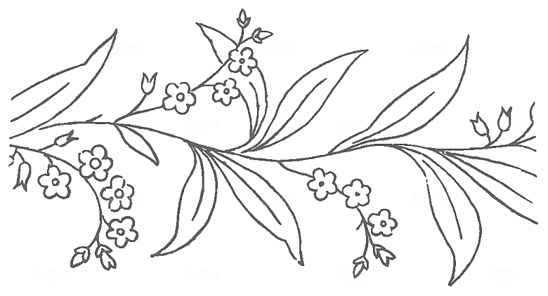 简约手绘鲜花花朵png素材