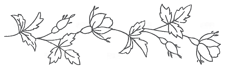 简约手绘鲜花花朵png素材