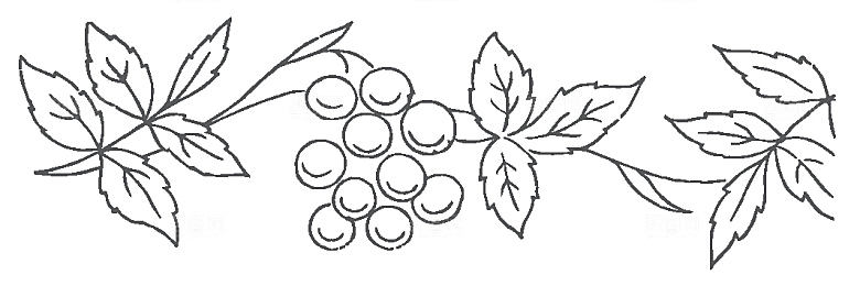 简约手绘鲜花花朵png素材