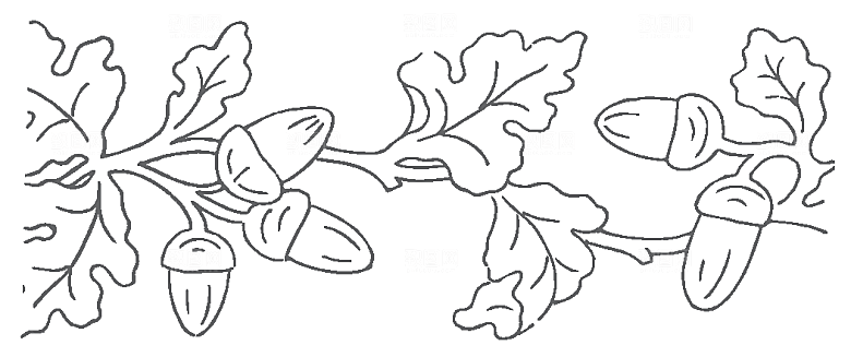 简约手绘鲜花花朵png素材