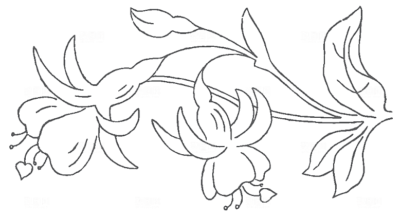 简约手绘鲜花花朵png素材