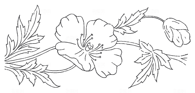 鲜花矢量手绘花朵线条花卉素材