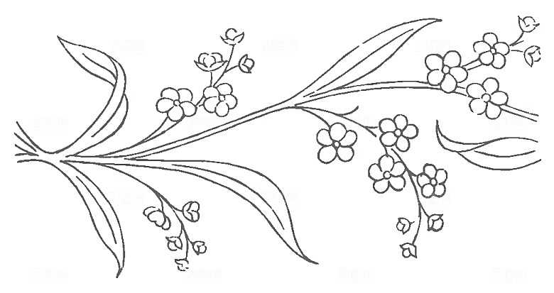鲜花矢量手绘花朵线条花卉素材