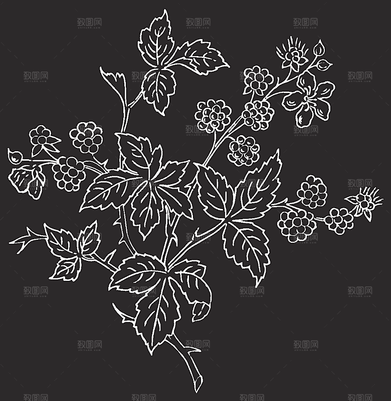 鲜花矢量手绘花朵线条花卉素材