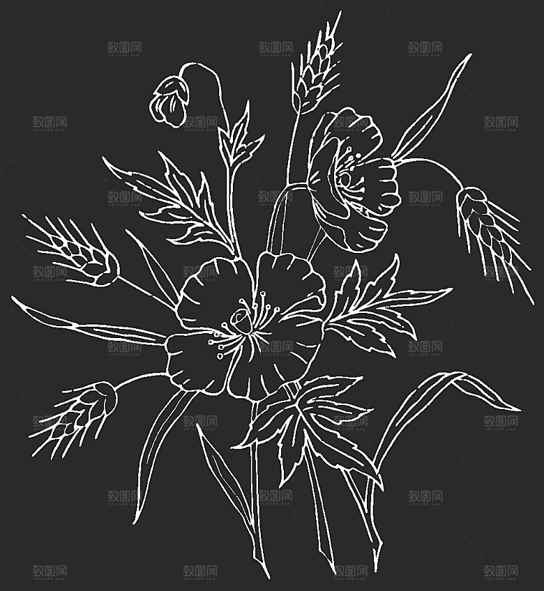 鲜花矢量手绘花朵线条花卉素材