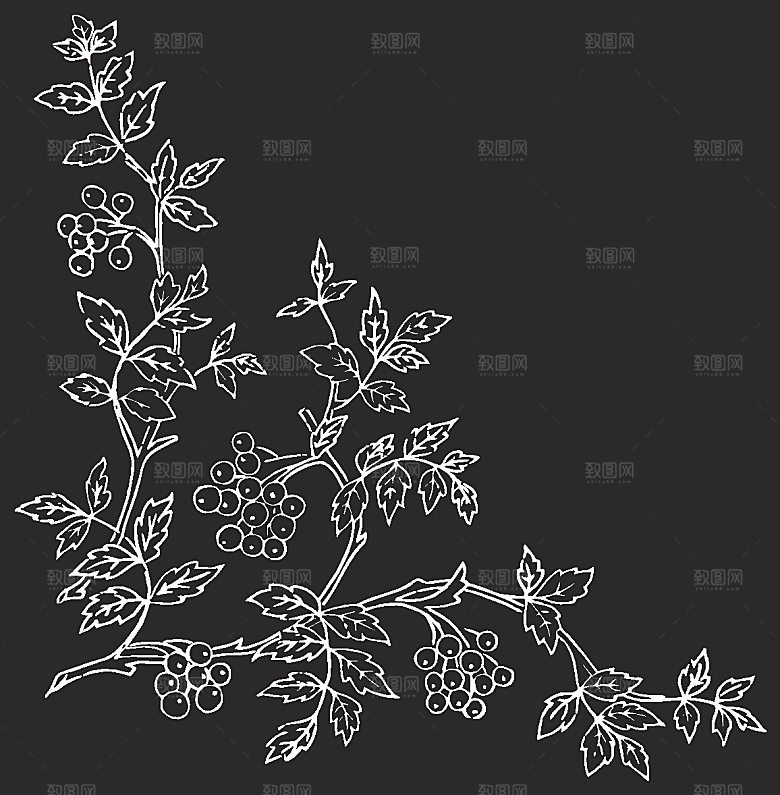 鲜花矢量手绘花朵线条花卉素材