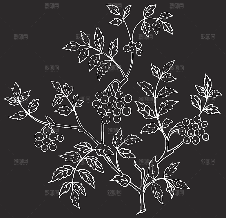 矢量创意花纹鲜花素材