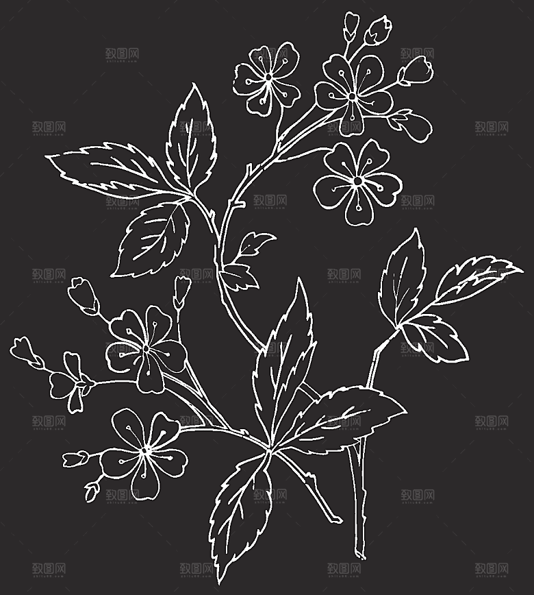 矢量创意花纹鲜花素材