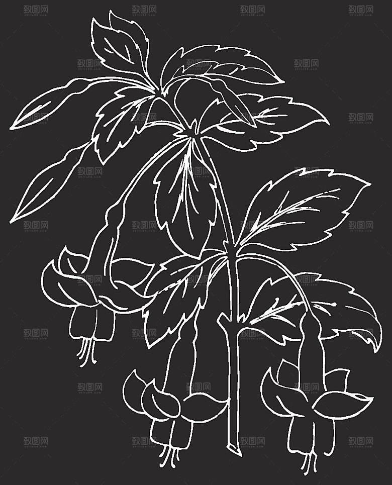 矢量创意花纹鲜花素材