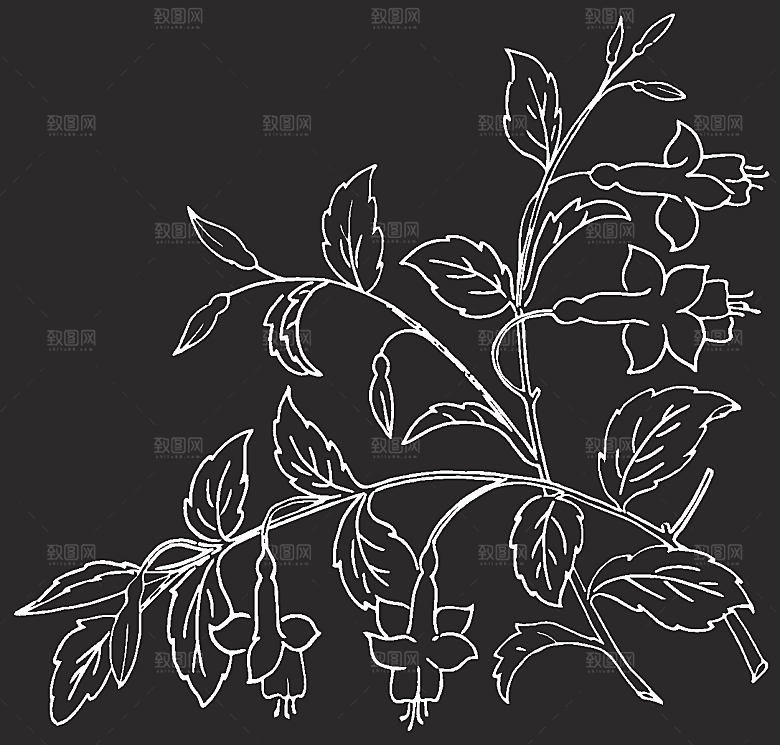 矢量创意花纹鲜花素材