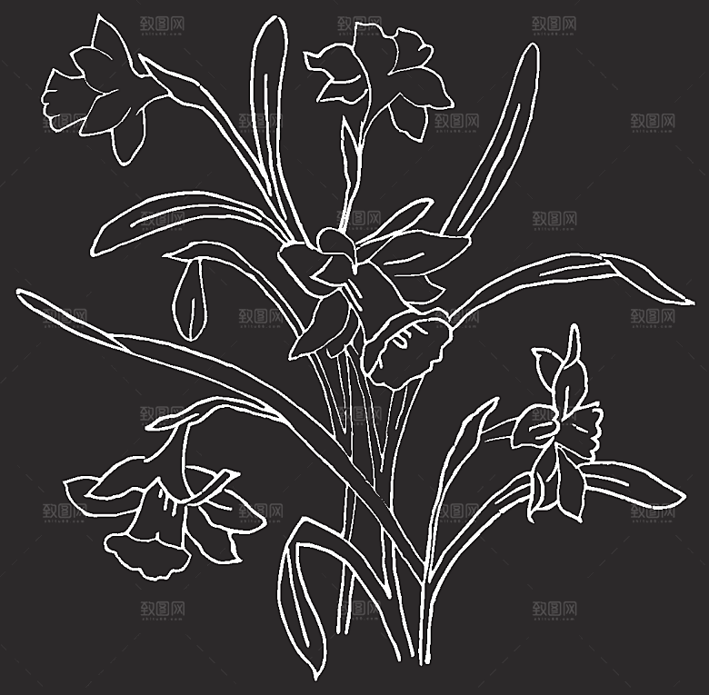矢量创意花纹鲜花素材