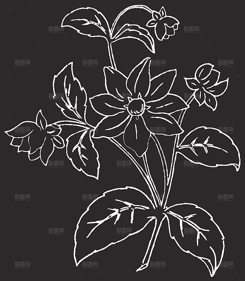 矢量创意花纹鲜花素材