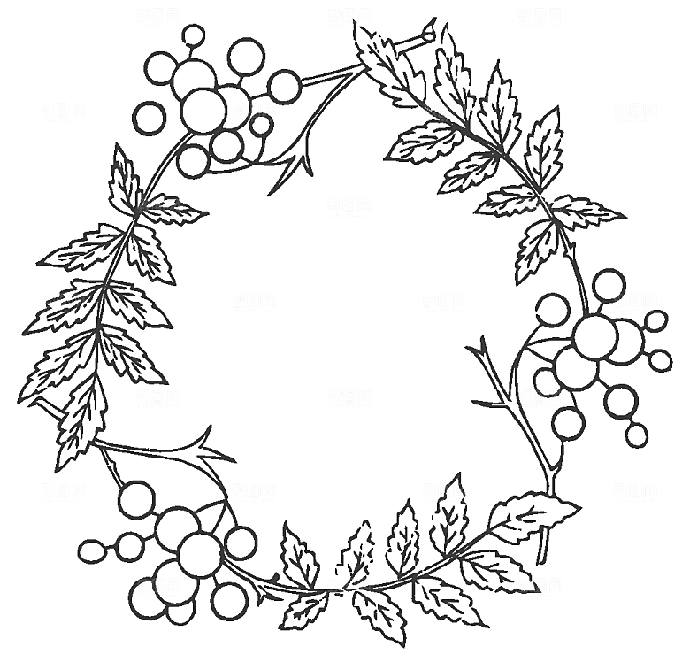 矢量花朵花卉鲜花素材png