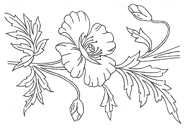 矢量简约花朵线条png素材