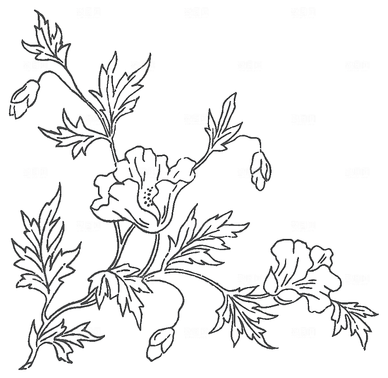 鲜花花朵花卉矢量素材