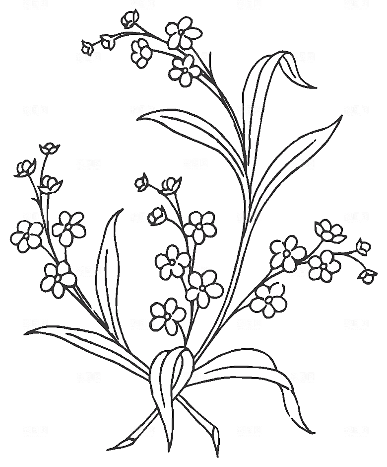 鲜花花朵花卉矢量素材