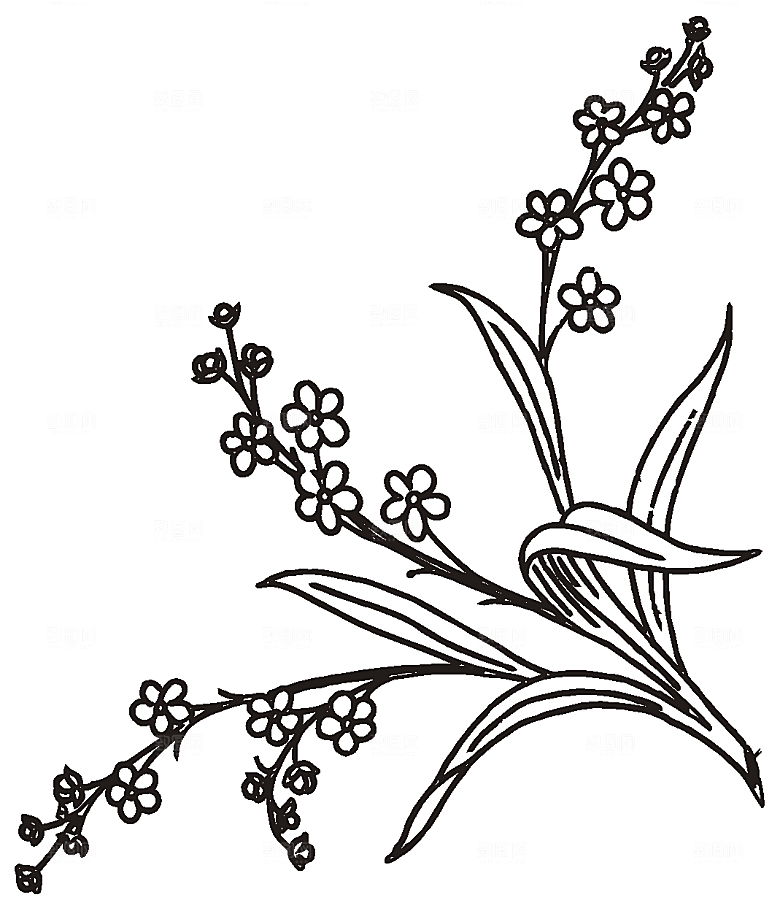 鲜花花朵花卉矢量素材
