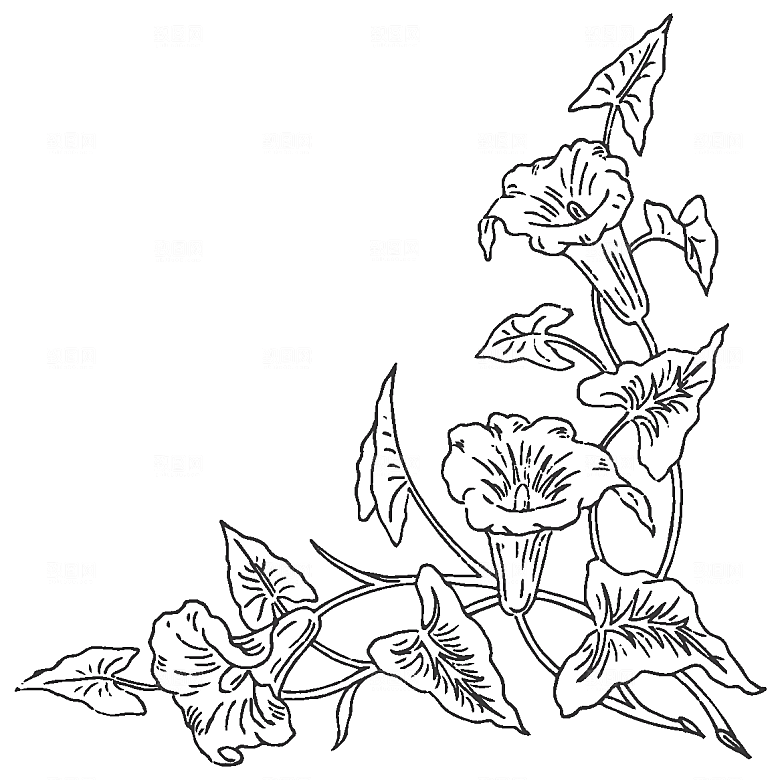 鲜花花朵花卉矢量素材