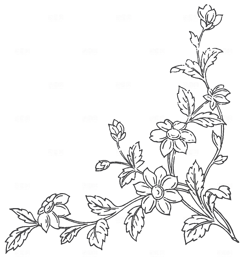 鲜花花朵花卉矢量素材
