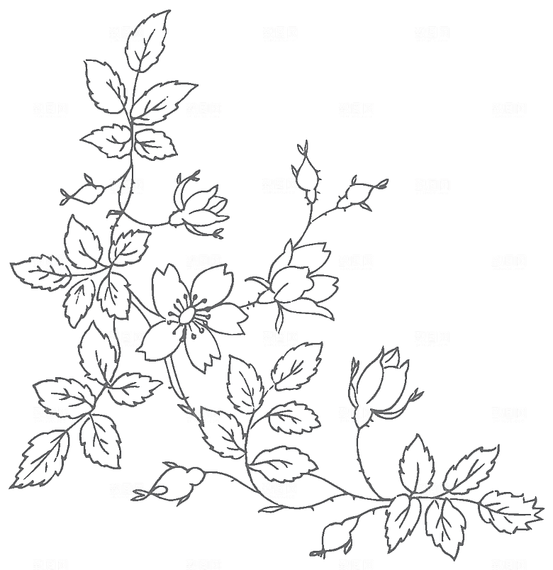 鲜花花朵花卉矢量素材