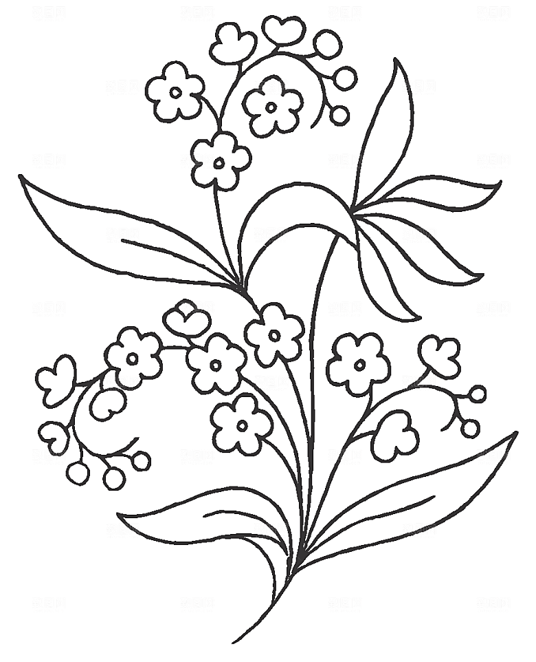 手绘鲜花花朵素材元素