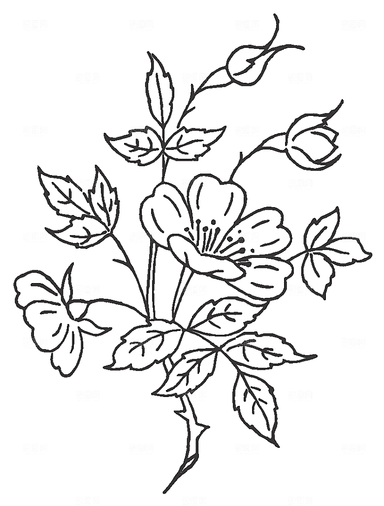 手绘鲜花花朵素材元素