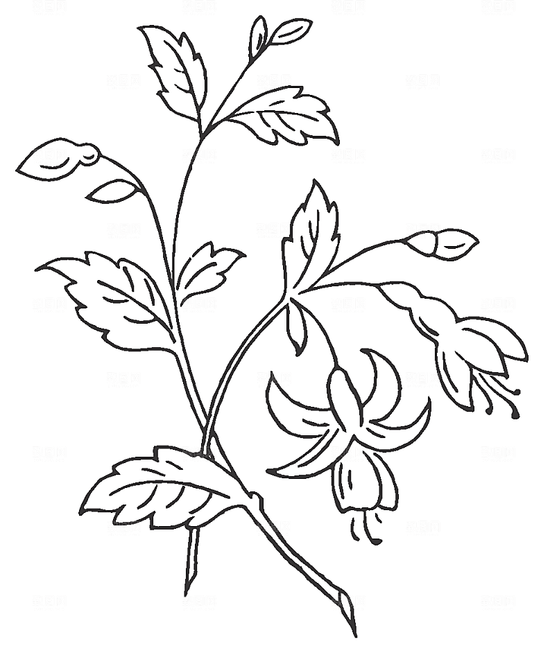 手绘鲜花花朵素材元素