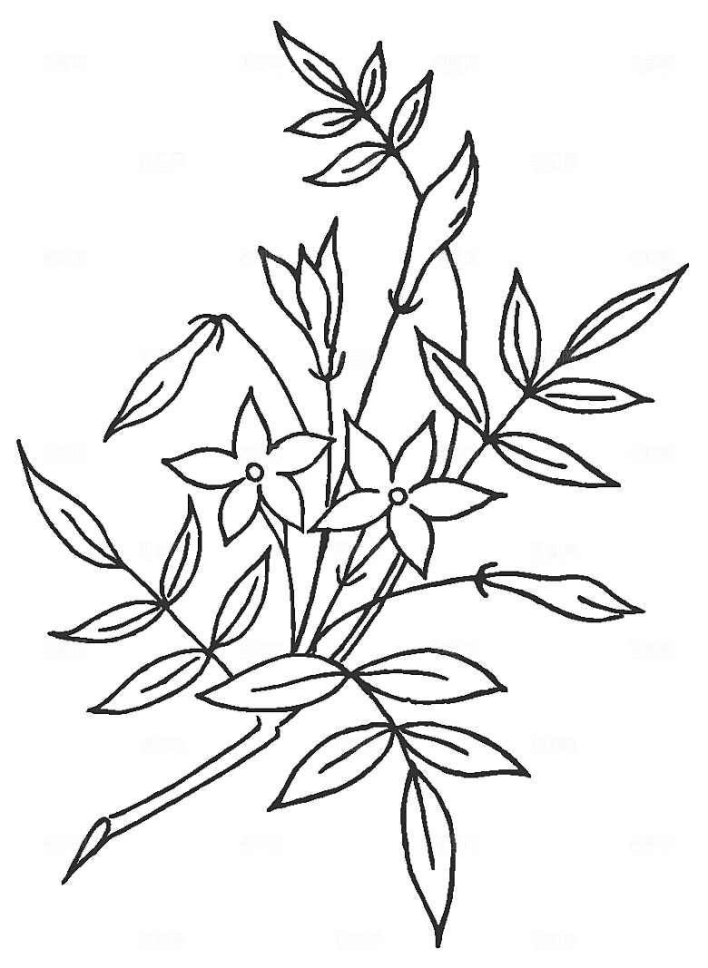 矢量线条鲜花花卉素材