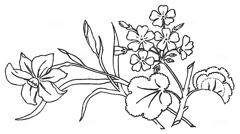矢量线条鲜花花卉素材