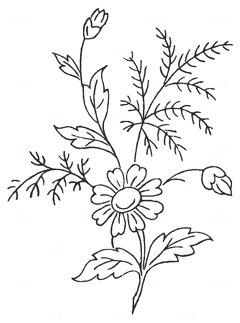 矢量线条鲜花花卉素材
