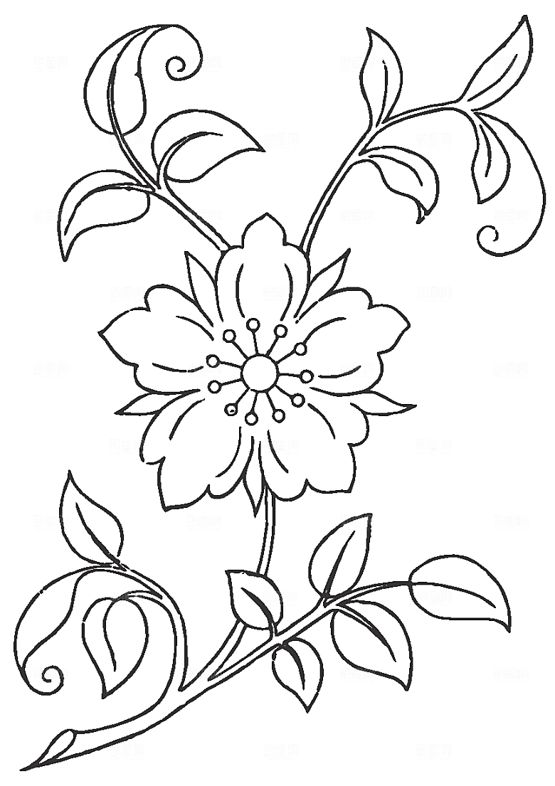 矢量线条鲜花花卉素材